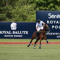 <p>Prince Harry went on to score the winning goal in Wednesday&#x27;s game at the Greenwich Polo Club. </p>