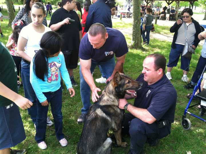 Yonkers students take turns petting Mickey the police dog Thursday during a picnic inside Kingsland Point Park.