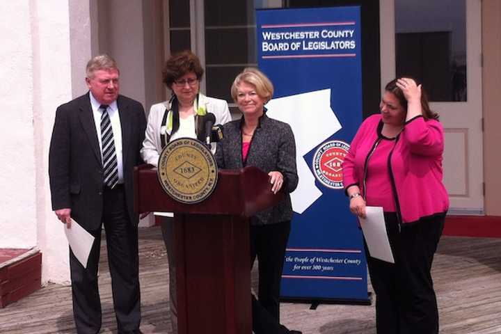 Westchester Dems Want To Proceed With Children's Museum