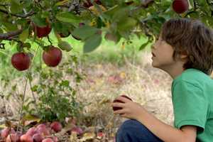 'Newtown' Documentary Making Its Premiere At Sundance Film Festival