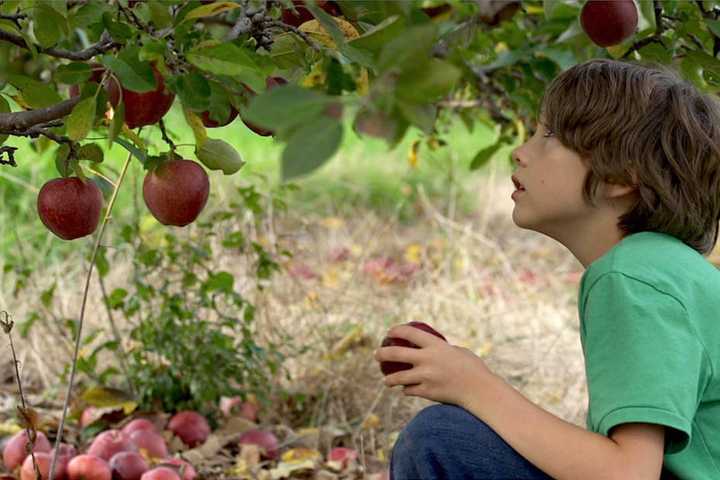 'Newtown' Documentary Making Its Premiere At Sundance Film Festival