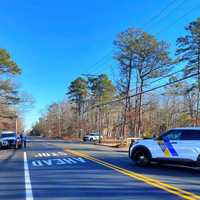 Driver Sought In Fatal Cape May Hit-Run, State Troopers Say