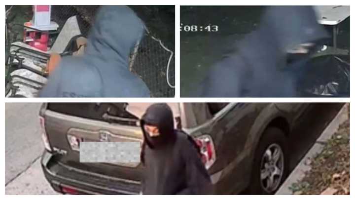 Suspects in the Norristown burglaries