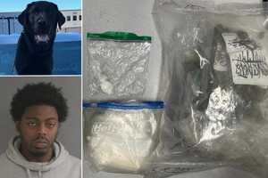 K9 Finds Cocaine, More During Wrong-Way CT DUI Stop: Police