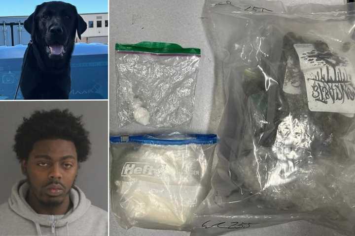 Twenty-eight-year-old Dillen Dye, a Norwich resident, was arrested after a K9 officer discovered suspected marijuana and cocaine during a DUI stop.&nbsp;