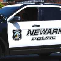 Newark Officer Fires Gun At Dog Who Bit Him, Police Say