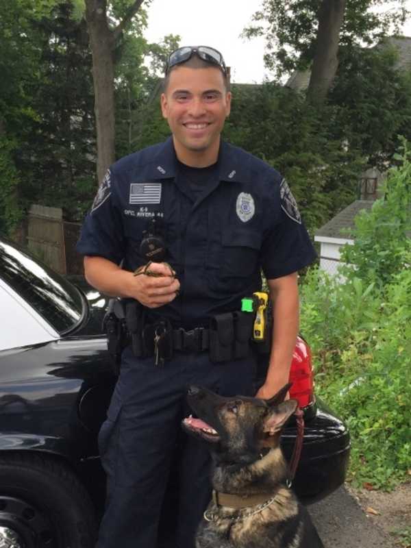 New Canaan Police Officer Launches Gofundme Campaign For K-9 Program