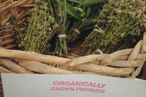 Winter Farmers Market Returns To Nyack 