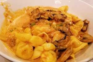 Via Garibaldi Hailed As 'Hidden Gem' In Westchester