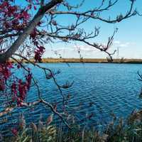 <p>Looking west from Richard W. DeKorte Park in Lyndhurst.</p>