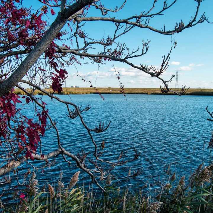 Looking west from Richard W. DeKorte Park in Lyndhurst.