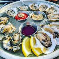 <p>Fresh oysters.</p>