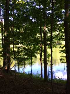 Walk Along The Reservoir In Old Goldens Bridge