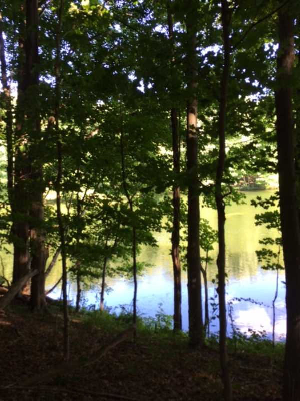Walk Along The Reservoir In Old Goldens Bridge