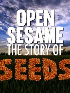 Filmmaker Screening 'Open Sesame' Documentary At Fairfield Library