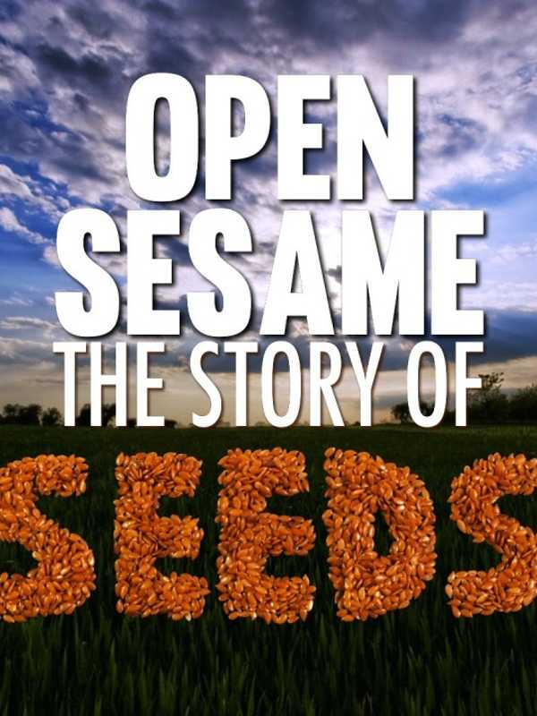 Filmmaker Screening 'Open Sesame' Documentary At Fairfield Library