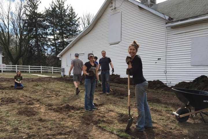 More Strides Made Toward HealthBarn Organic Garden In Ridgewood