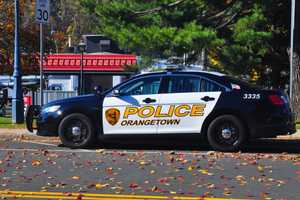 Pearl River Man Steals License Plates, Police Say