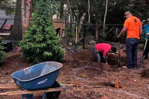 Tree Planters Joke Of Finding Gold In Ridgewood Yard -- Find Skull Instead