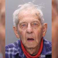 Slate Belt Senior Pointed Gun At Neighbor, Police Claim