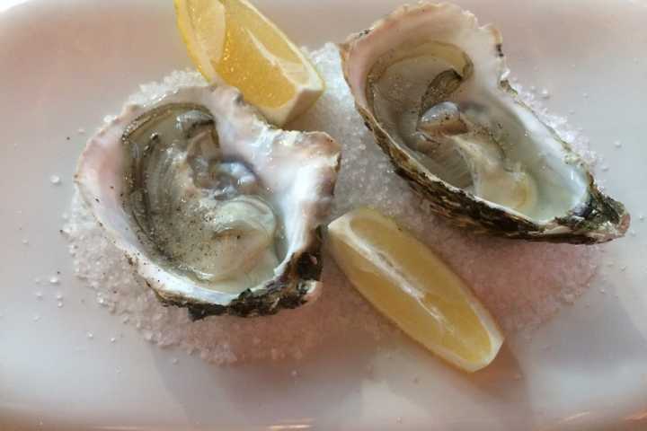 Here Are Six Places To Eat Oysters In Suffolk County