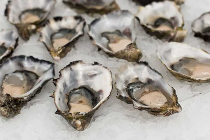 FDA Recalls Westport Oysters After Norovirus Outbreak