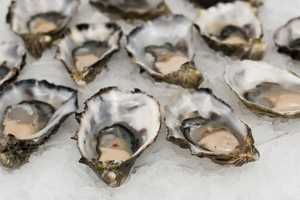 CDC Warns Potentially Contaminated Raw Oysters May Be Linked To Norovirus Outbreak