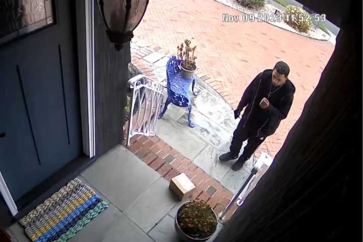 Thirty-six-year-old Frank Merlo was nabbed by police after they say a Ring doorbell camera caught him stealing a package off the front porch of a Baldwin home.&nbsp;