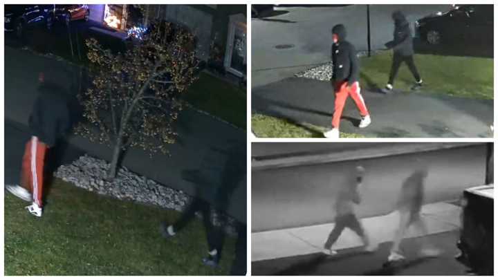 The suspects in the string of thefts in Palmer Twp.&nbsp;