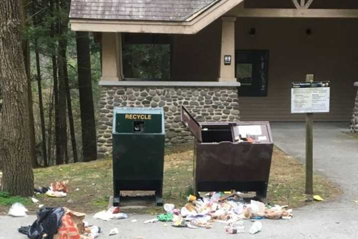 Officials: Increase In Vandalism, Littering At Delaware Water Gap National Recreation Area