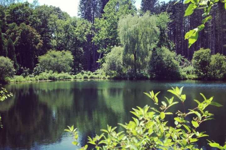 Concert For Victims Of Hurricanes Set For Northern Westchester