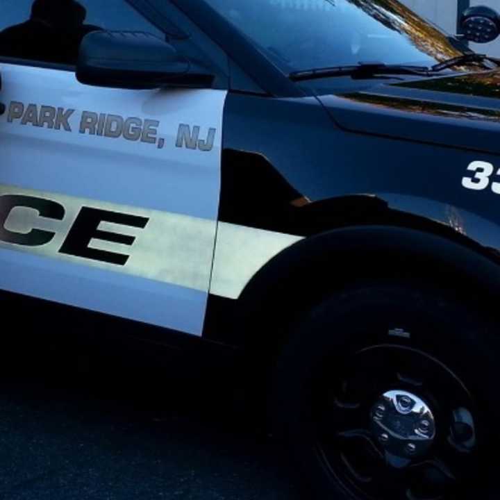 Park Ridge police