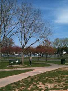 Get Out Of The House: Check Out Mamaroneck's  Top 3 Springtime Hangouts