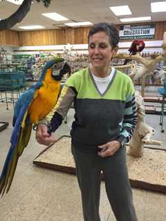 Friends Concerned For Dozens Of Exotic Birds After Stamford Woman's Death