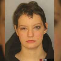 Chesco Burglar 'Lunged' At Homeowner With Knife: Police