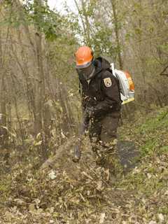 Proposed New Bill Would Ban Noisy Gas-Powered Leaf Blowers Statewide