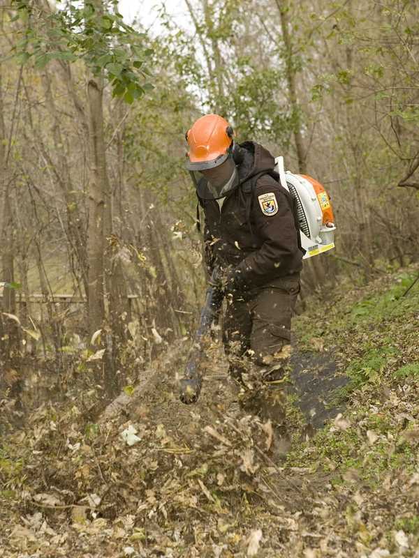 Proposed New Bill Would Ban Noisy Gas-Powered Leaf Blowers Statewide