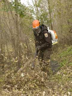 Community Becomes One Of First In Northeast To Ban Gas-Powered Leaf Blowers