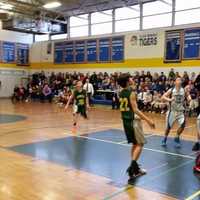 Pelham Basketball Teams Play Tuesday