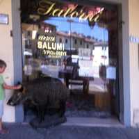 <p>Antica Macceleria Cicchini butcher shop</p>