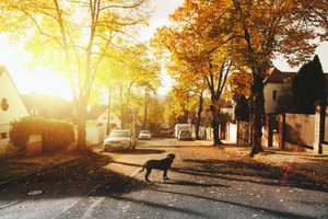 This Hamlet Ranks Among Best Places To Live On Long Island