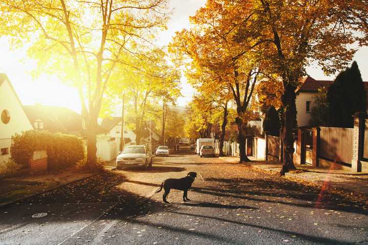This Hamlet Ranks Among Best Places To Live On Long Island
