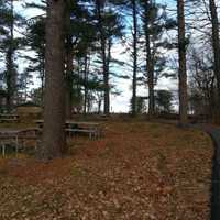 $30 Million Swimming Pool To Open At State Park In Northern Westchester