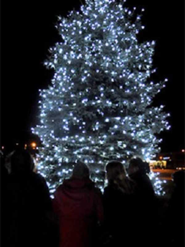 Visiting Nurses Celebrate Life With Hospice Tree Of Life Lighting