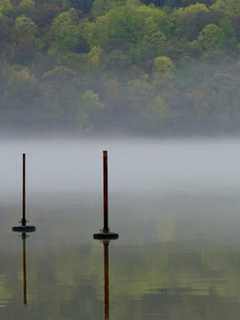 Winning Photo Contest Entry Appears On Cold Spring Chamber's Website
