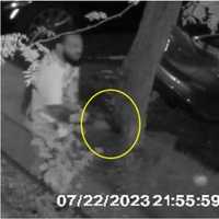 New Rochelle Man Admits Role In Close-Range Shooting That Left Victim Injured: Feds
