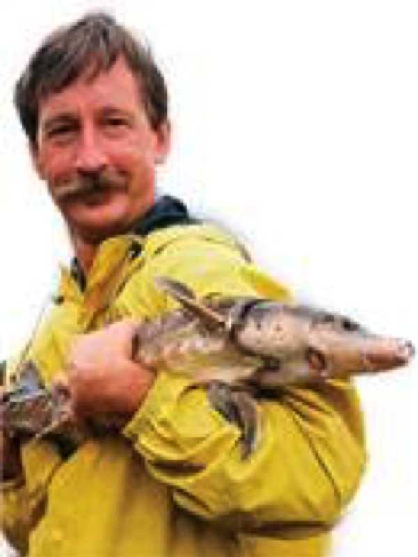 Warren P. Reiss, 61, Of Rhinebeck