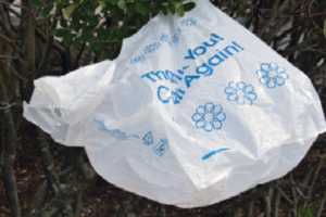 Plastic Bag Ban Will Soon Take Effect In This Westchester Town