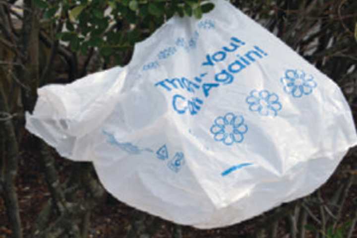 NY Plastic Bag Ban Starts With These Exceptions