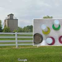 Fowl Play: Bird Feeders Poisoned At PA Park, Police Say